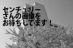 旭川市の（株）センチュリー／旭川支店